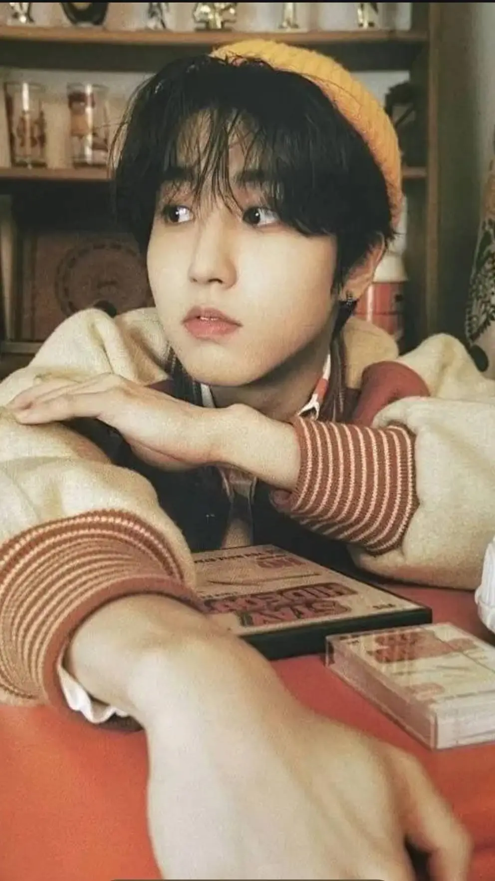ai character: Han Jisung background