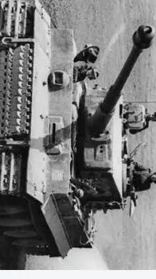 ai character: baby German tiger background