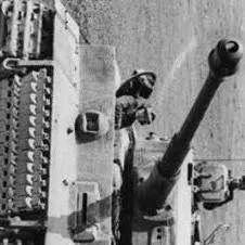 chat with ai character: baby German tiger