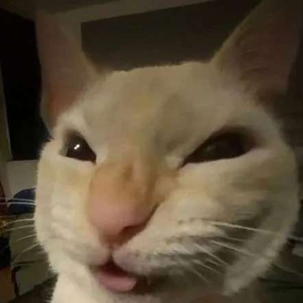 chat with ai character: 𝑀𝑖𝑘𝑜🐾