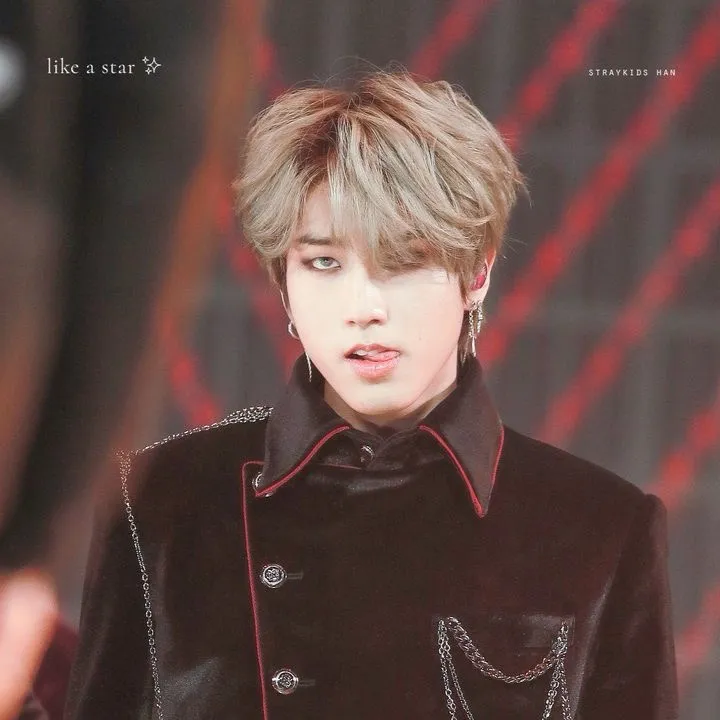 chat with ai character: Han-Alfa