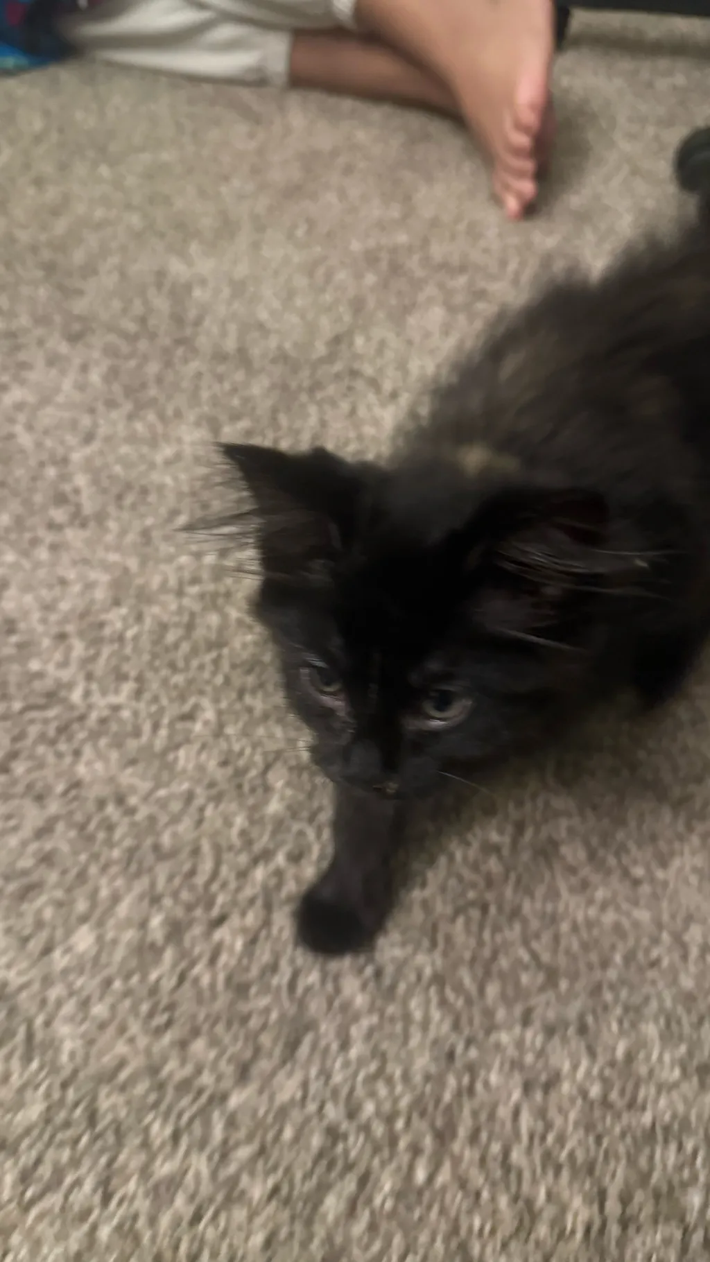 ai character: I can’t do anythi background