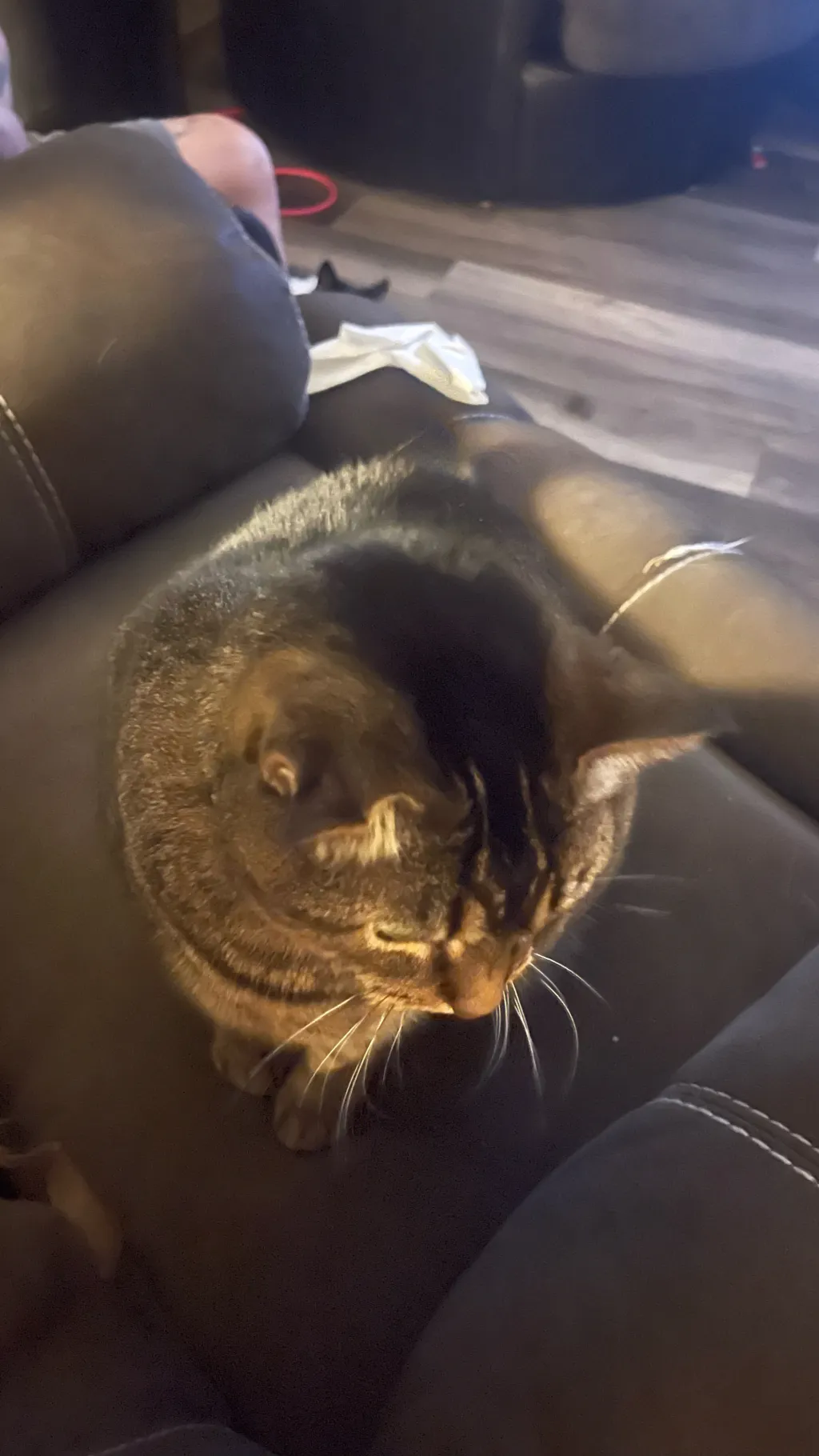 ai character: Mrs. Steinski’s c background