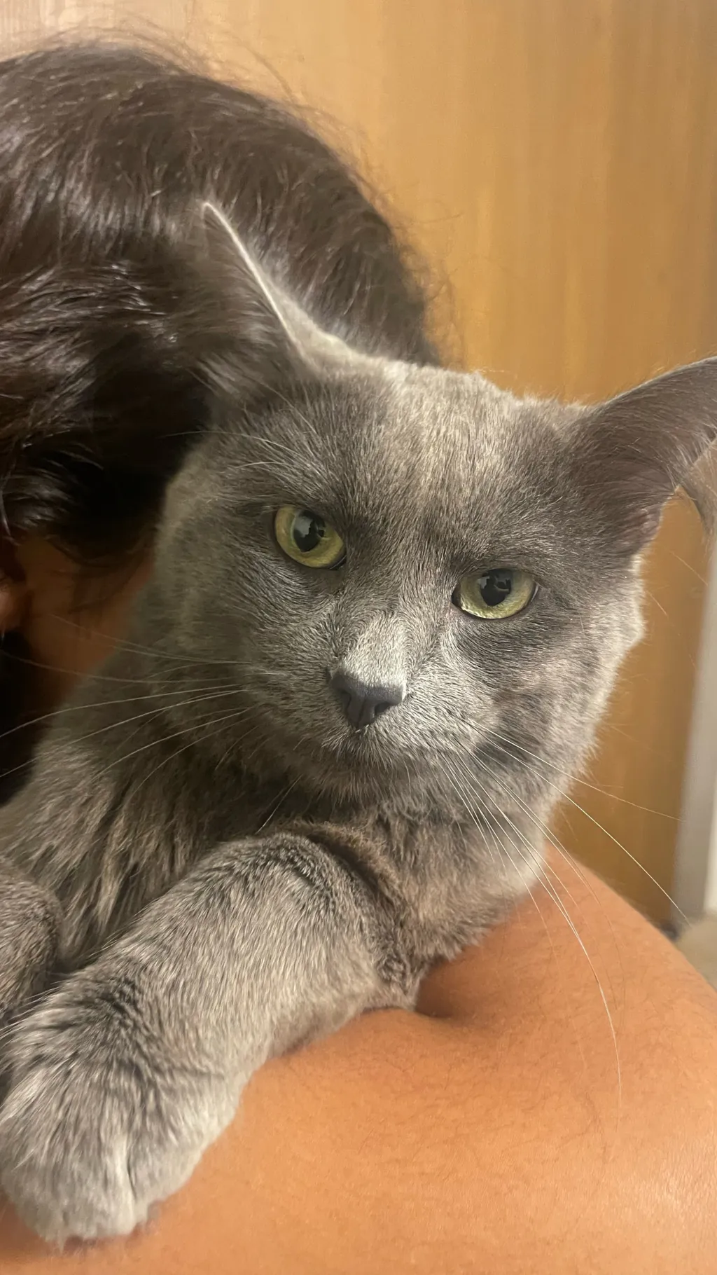 ai character: Pete background