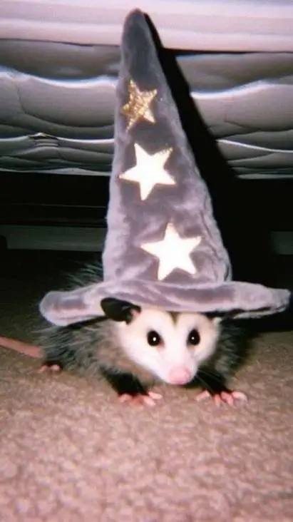 Talkie AI - Chat with ✨Magic-opossum🪄 