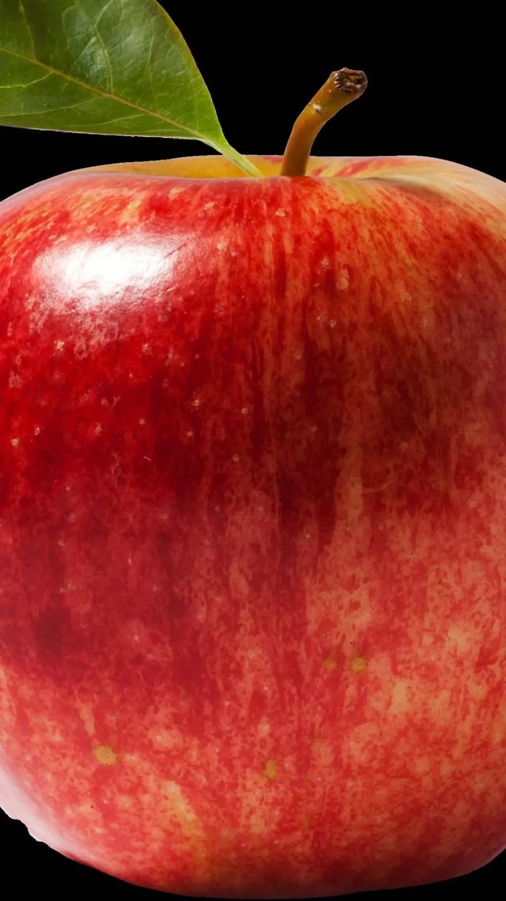 ai character: make it say no background