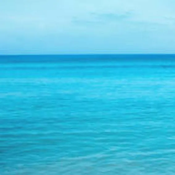 chat with ai character: Dw au ocean