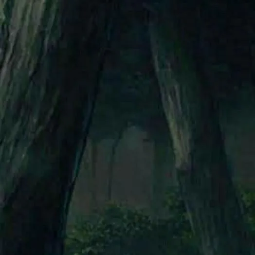 chat with ai character: kny forest....