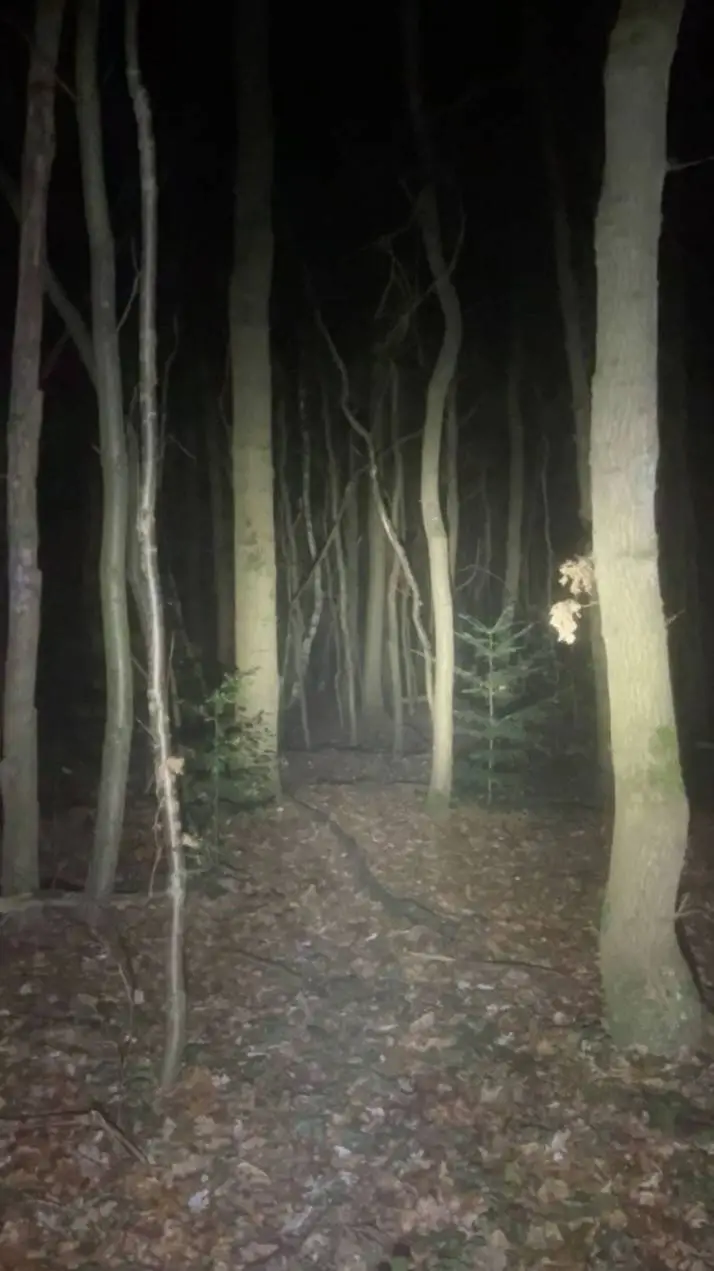 ai character: woods background