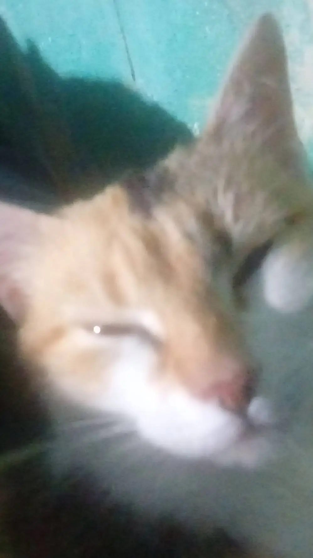 ai character: nose we background