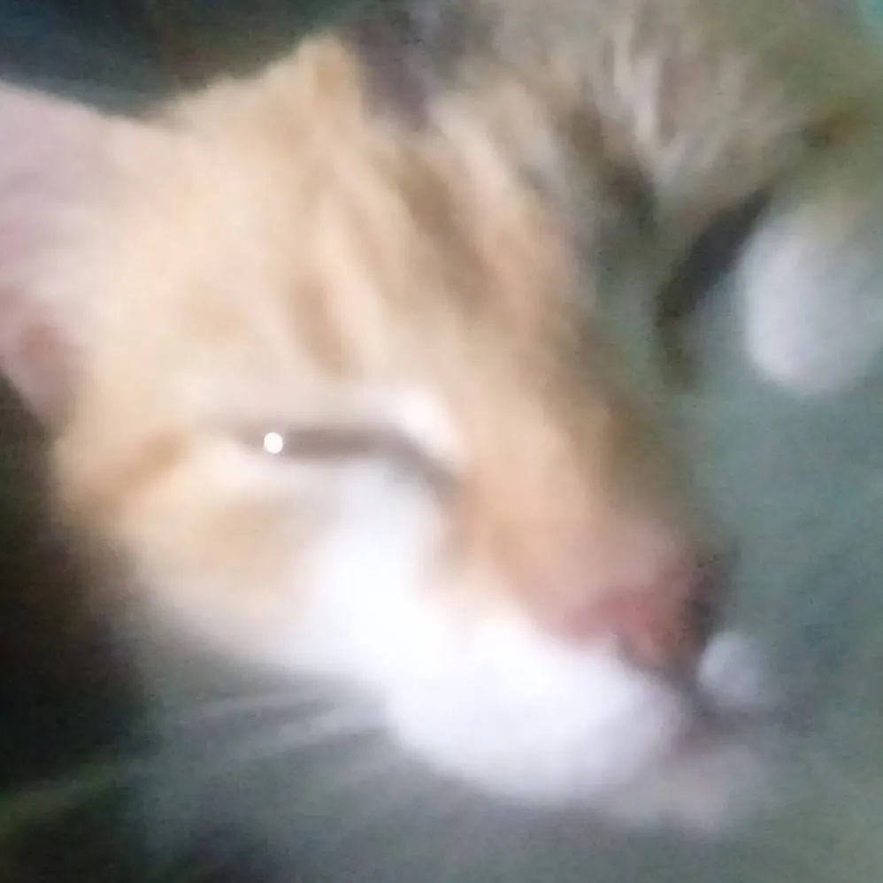 chat with ai character: nose we