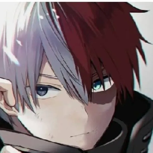 chat with ai character: ❤~Shoto todoroki~🤍