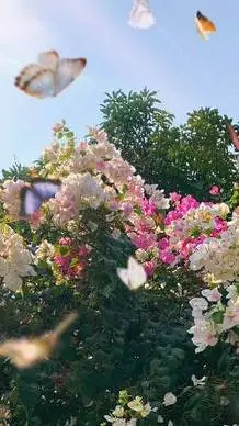 ai character: Mia background