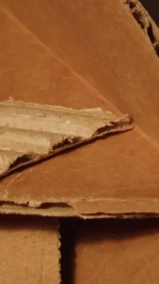 ai character: Hana  background