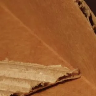 chat with ai character: Hana 