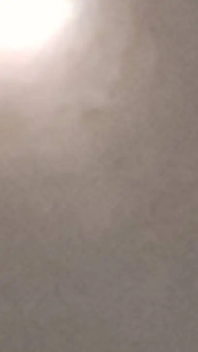 ai character: shyuhada/myGF background