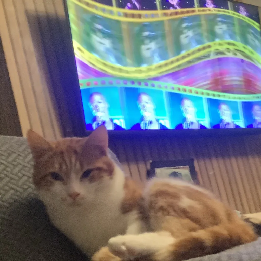 chat with ai character: nimbus 