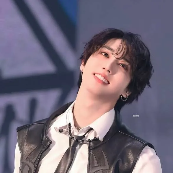 chat with ai character: ✦Han Jisung 