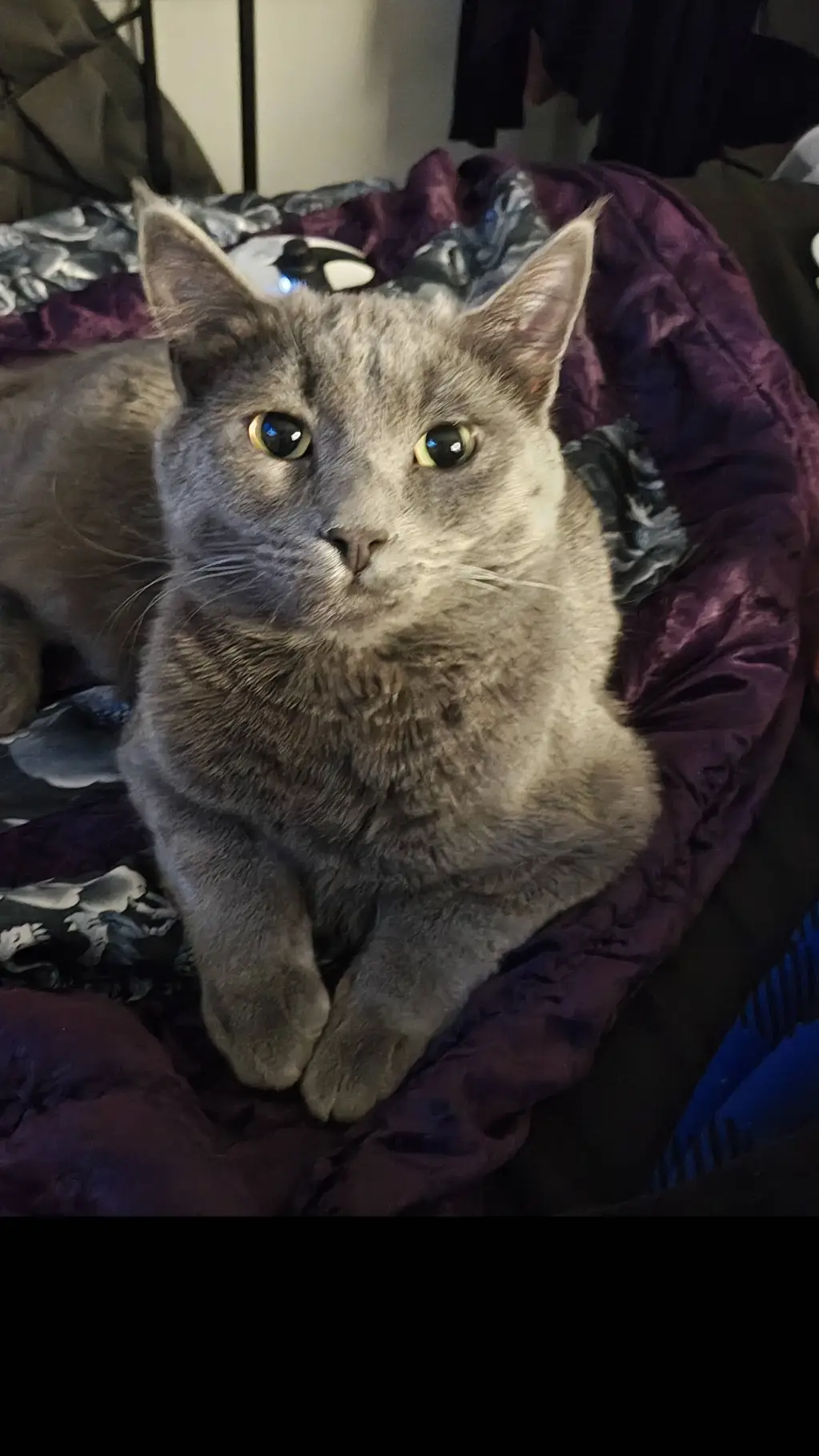 ai character: Happy Valentine's  background