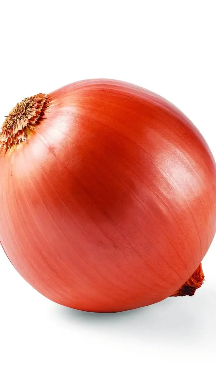 ai character: onion background