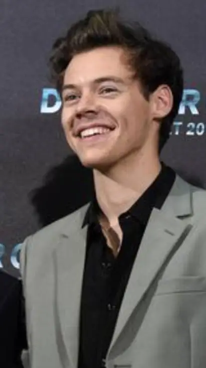 ai character: Harry Styles  background