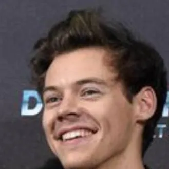 chat with ai character: Harry Styles 