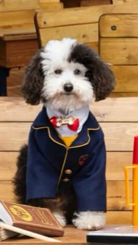 ai character: Whiz background