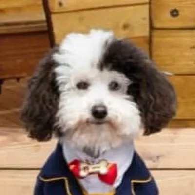 chat with ai character: Whiz