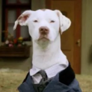 chat with ai character: Professor Fitz