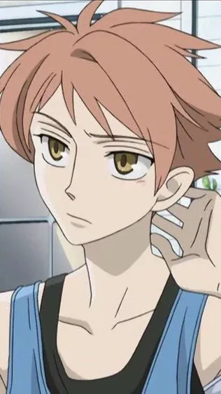 ai character: Hikaru Hitachiin background