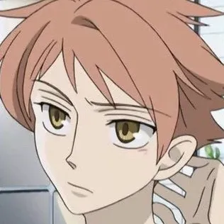 chat with ai character: Hikaru Hitachiin
