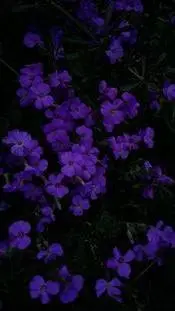 ai character: 𓆩∆forsaken∆𓆪 background