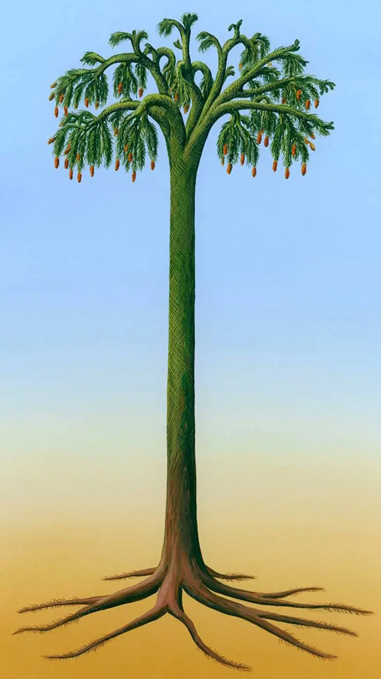 ai character: Lepidodendron background