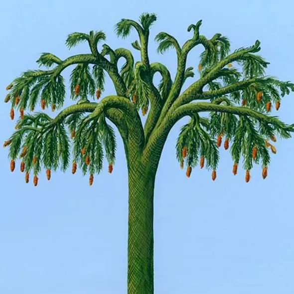 chat with ai character: Lepidodendron