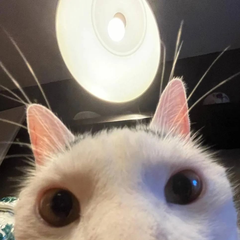 chat with ai character: CETTTERRRR