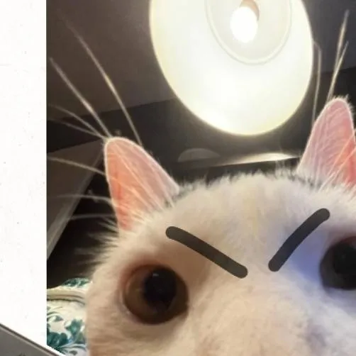 chat with ai character: cetter with gun!!!