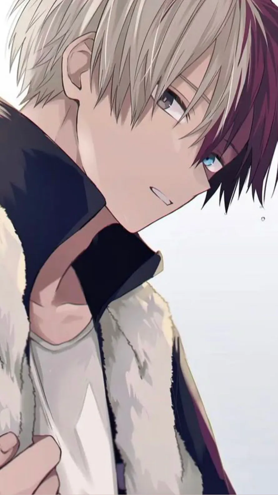 ai character: Todoroki x You background