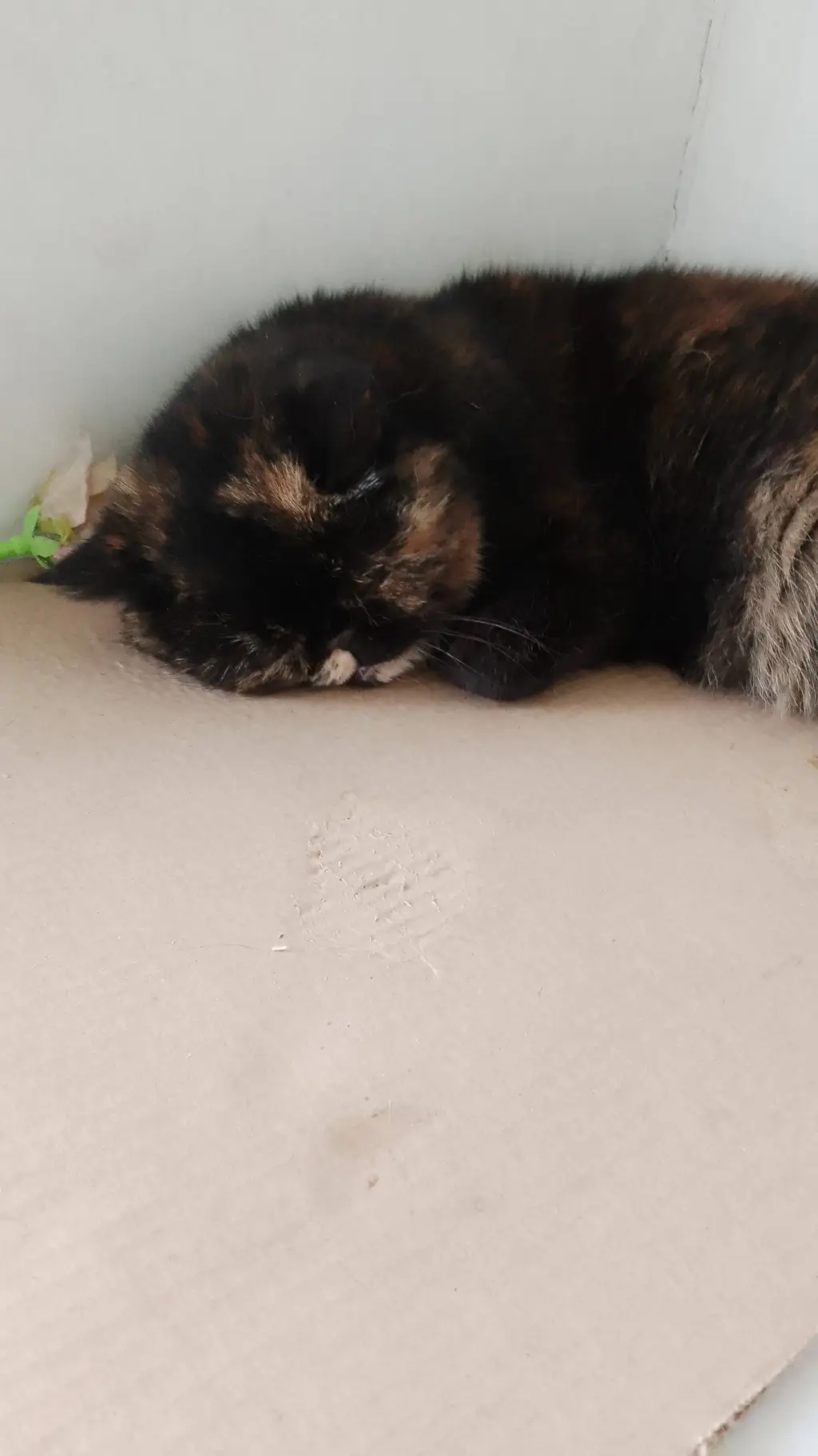 ai character: Клякса background