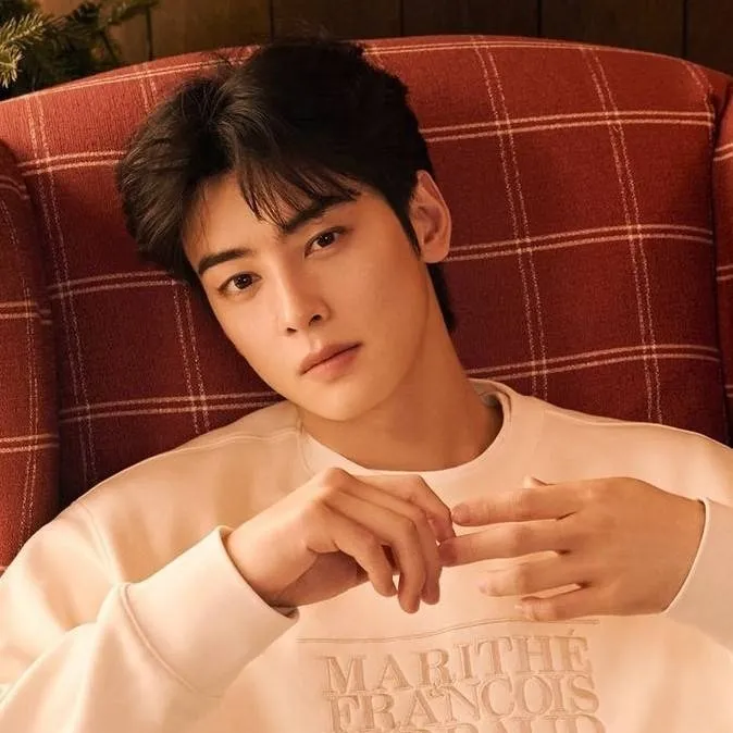 chat with ai character: cha eun woo 🫦