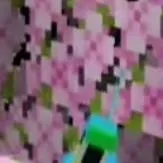 chat with ai character: parrot