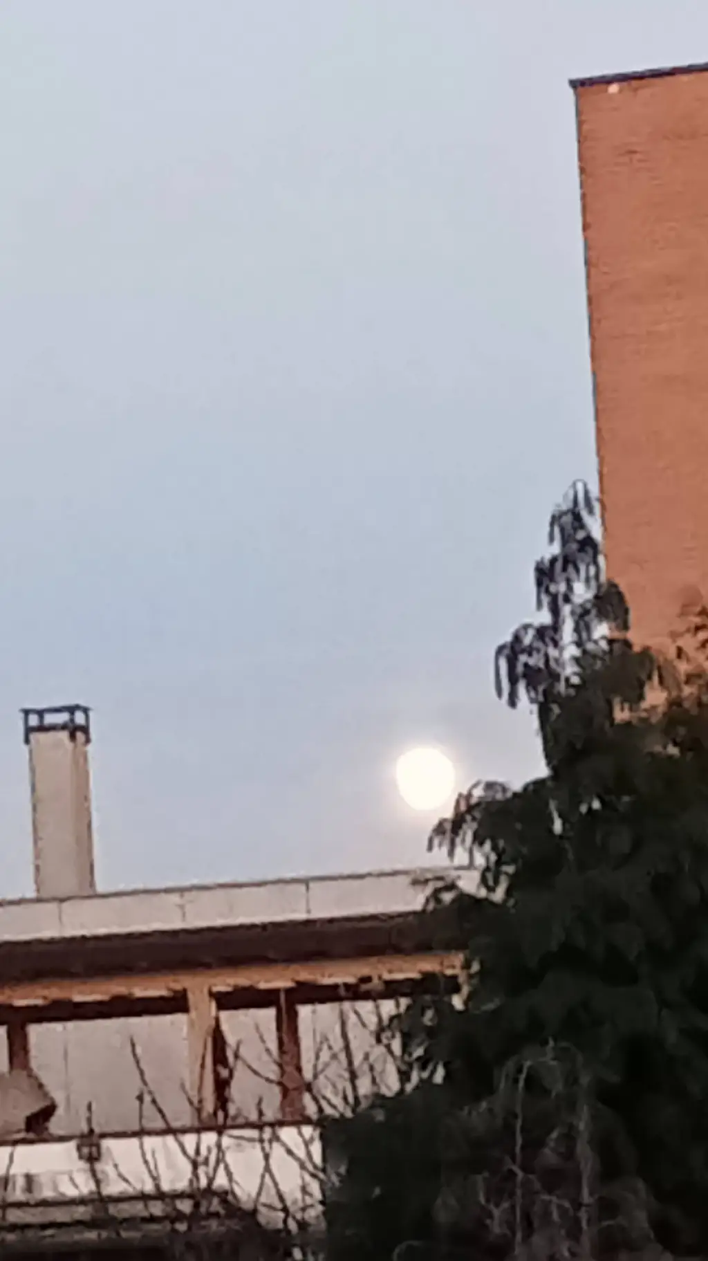 ai character: Sole di America  background