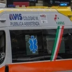 chat with ai character: AVIS COLOGNO MONZE