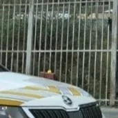 chat with ai character: Skoda 