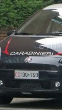 ai character: Fiat Punto  background