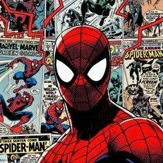 chat with ai character: Spiderman🕷🕸
