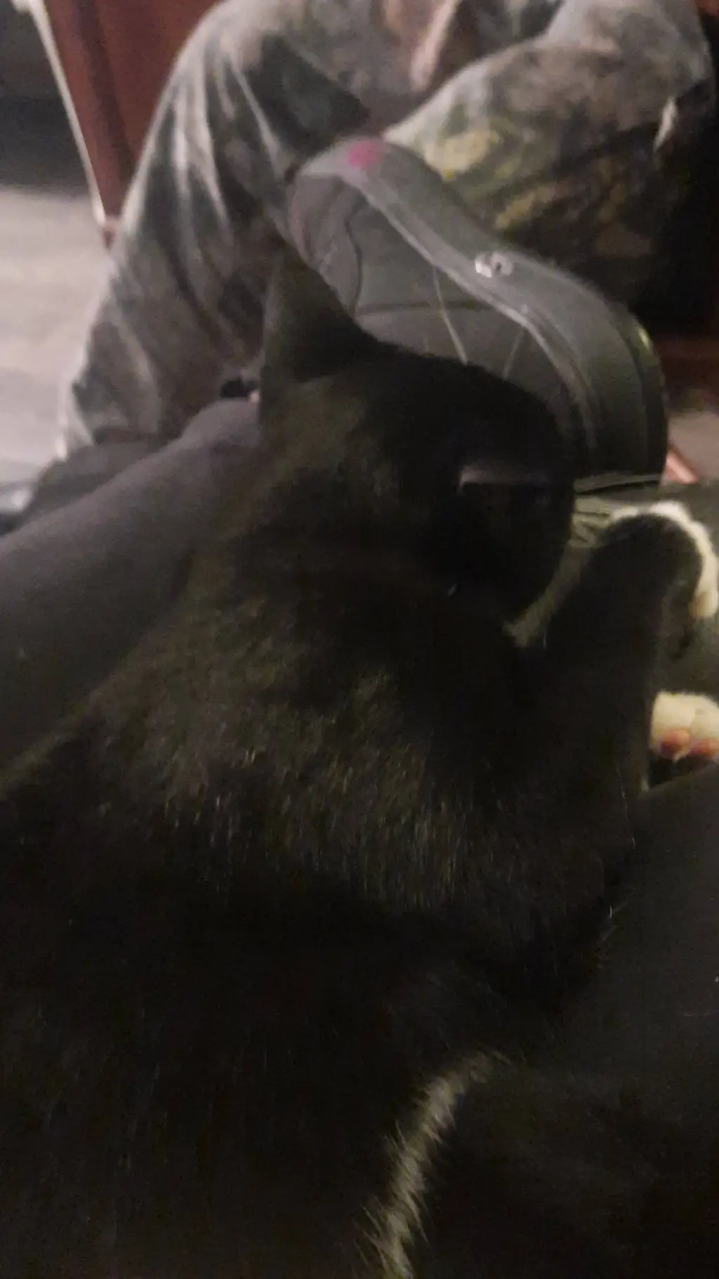 ai character: max background