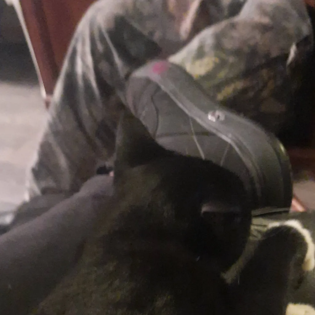 chat with ai character: max