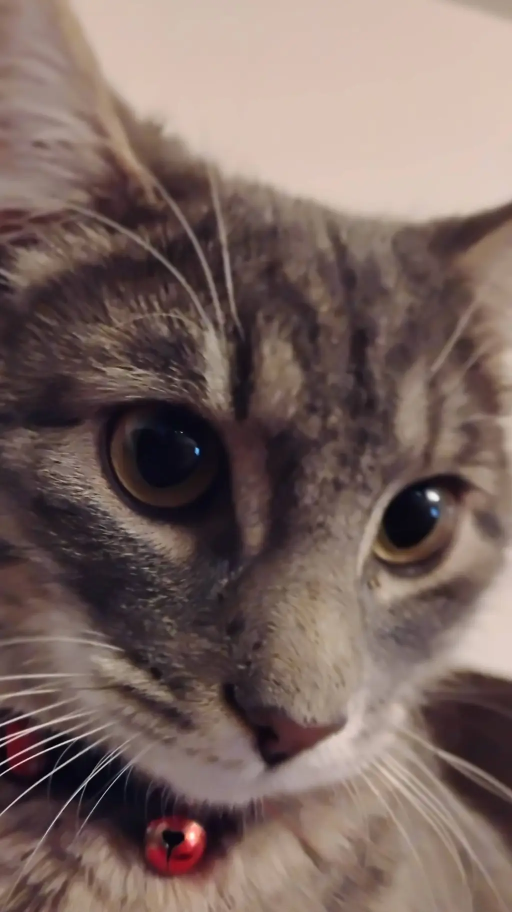 ai character: DEMON SLAYER FIGHT background