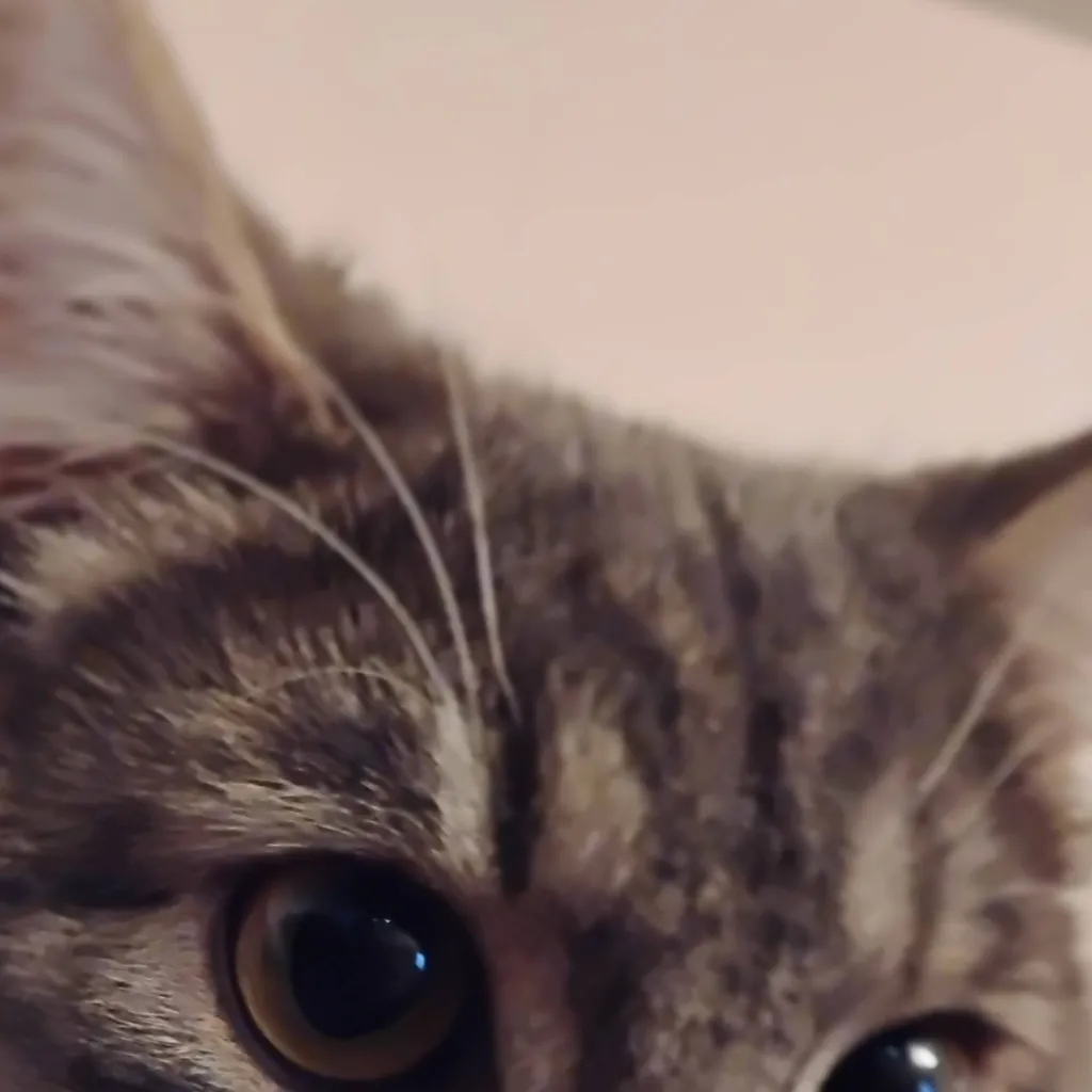 chat with ai character: DEMON SLAYER FIGHT