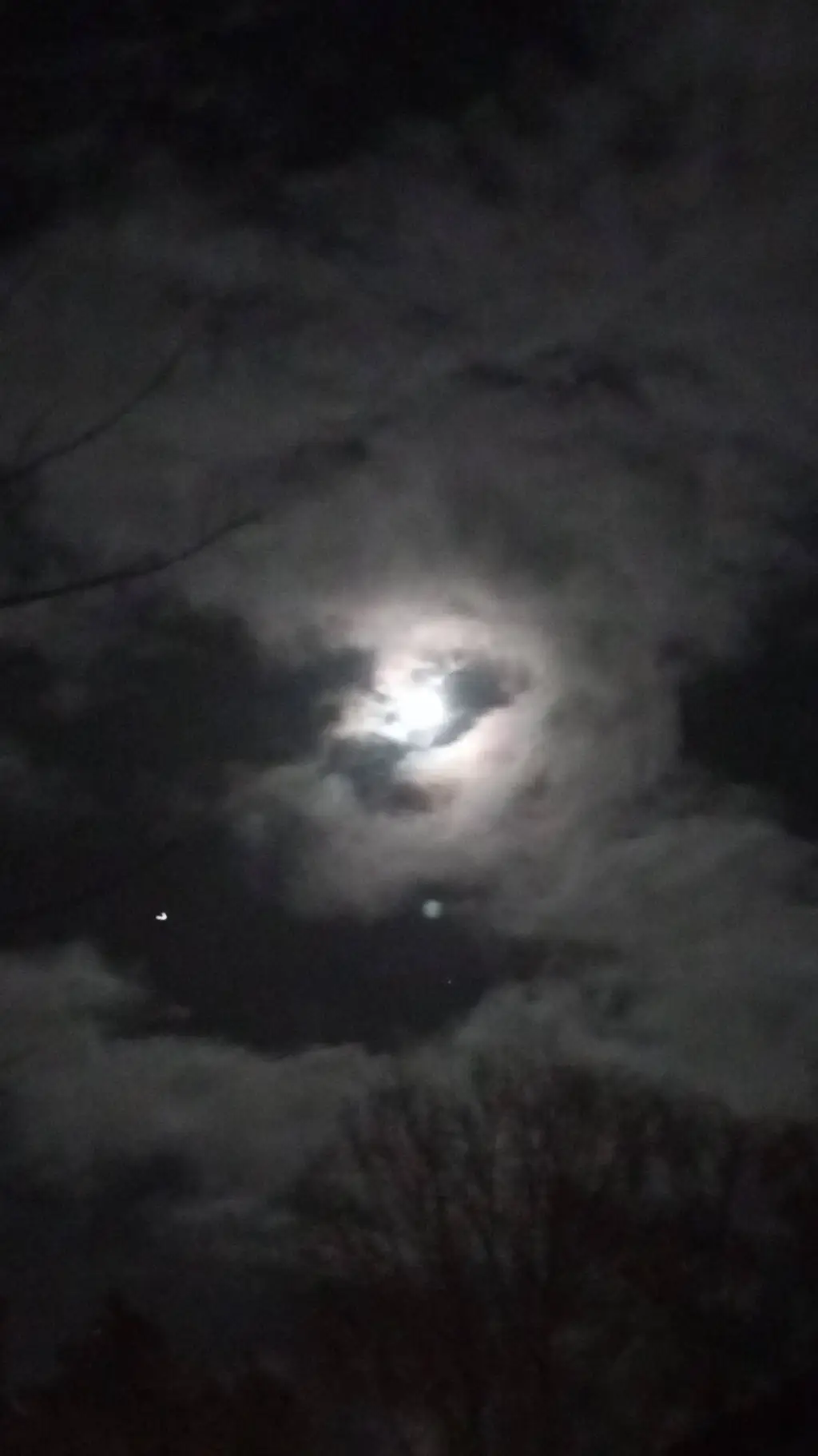 Talkie AI - Chat with school trip-mental